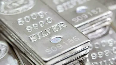 صورة الفضة تحطم مستوياتها القياسية وتقفز إلى 61 دولارا للأوقية