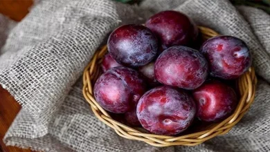 صورة احرص عليه.. البرقوق كنز غذائي  و له 5 فوائد مذهلة
