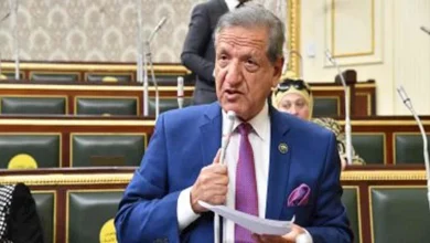 صورة رئيس الخطة والموازنة يكشف موعد زيارة بعثة صندوق النقد لمصر لإجراء المراجعة الخامسة