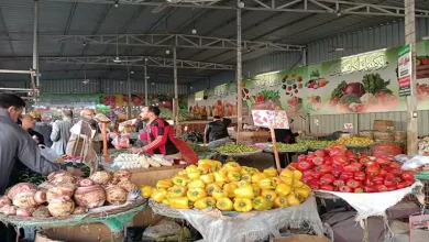 صورة ارتفاع الطماطم.. أسعار الخضروات والفاكهة في سوق العبور 18-7-2025