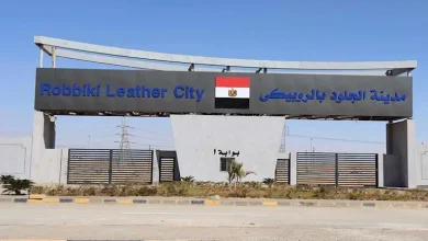 صورة كيف تحصل على مصنع كامل التجهيزات بمدينة الجلود بالروبيكي؟