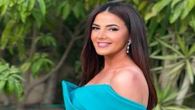 صورة “العيلة الجميلة”.. دنيا سمير غانم تعلق على احتفال الزعيم بزفاف حفيده