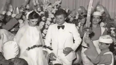 صورة جمالها ساحر.. شاهد لقطات من حفل زفاف محمود عبدالعزيز وجيجي زويد