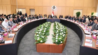صورة المجموعة الوزارية توافق على طلب “السويدي” لإقامة مجمع لصناعة الضفائر الكهربائية بالفيوم