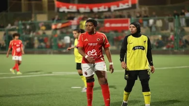 صورة موعد مباراة الأهلي ووادي دجلة في نهائي كأس مصر للسيدات