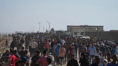 صورة 58 شهيدا وجريحا من المجوعين برصاص الاحتلال الاسرائيلي في رفح جنوب قطاع غزة..