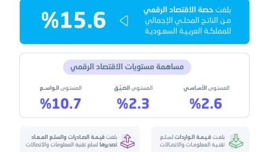صورة «هيئة الإحصاء»: ارتفاع حصة الاقتصاد الرقمي 15.6% من الناتج المحلي  أخبار السعودية