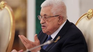 صورة فلسطين والاتحاد الأوروبي يبحثان سبل وقف حرب إسرائيل على غزة