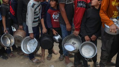 صورة “الأونروا” تؤكد جاهزية إمداداتها لإغاثة 200 ألف شخص في غزة