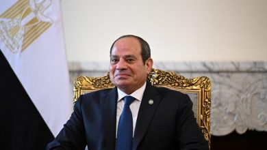 صورة مصر: السيسي يتصل بفنان شهير للاطمئنان عن صحته بعد إشاعة وفاته