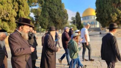 صورة 493 مستوطناً يقتحمون المسجد الأقصى