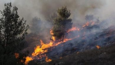صورة الإعلام العبري يفضح “كذب” نتنياهو بخصوص مسببي حرائق القدس