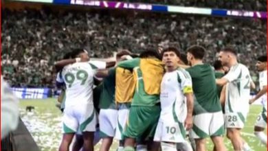 صورة لاعب الأهلي السابق: جماهيرية النادي ستزداد بعد اللقب القاري