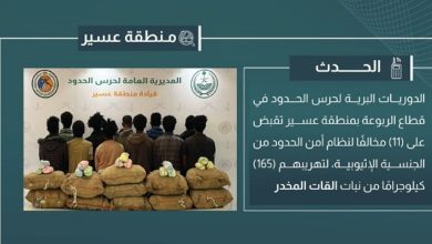 صورة القبض على 11 مخالفًا لتهريبهم 165 كيلوجرامًا من القات في عسير