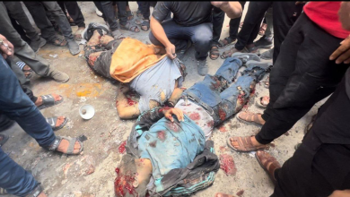 صورة الصحة الفلسطينية: 28 شهيدا و223 اصابة خلال يوم في قطاع غزة
