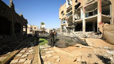 صورة “الفاو”: أقلّ من 5% من أراضي غزة الزراعيّة صالحة للاستخدام جراء الحرب الإسرائيليّة