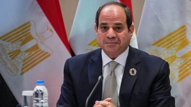 صورة السيسي يلتقي كبير مستشاري ترامب وسط تكهنات بتوترات مصرية-أمريكية