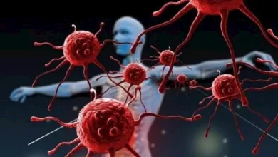 صورة مشروبات تحافظ على جهازك المناعي.. احرص عليها