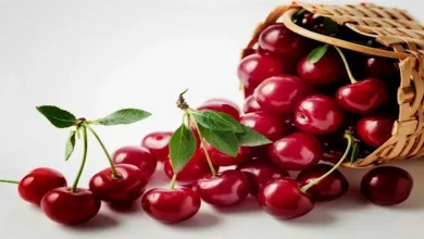 صورة كيف يقلل تناول الكرز آلام المفاصل والتورم؟