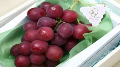 صورة فوائد العنب لصحة القلب.. يقلل خطر تجلط الدم