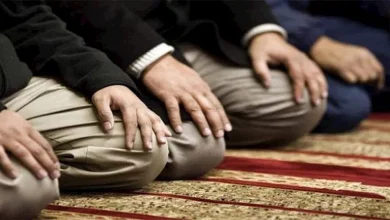 صورة هل تجوز الصلاة خلف إمام شيخ يصلي جالسًا؟.. أمين الفتوى يجيب