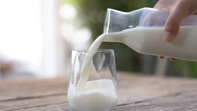 صورة ما فوائد وأضرار الحليب النباتي؟