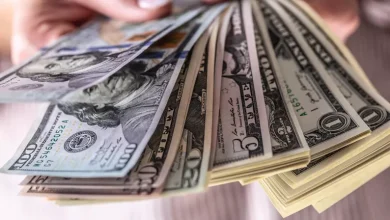 صورة بعد تراجع الدولار.. هل تنخفض أسعار الدواجن والبيض؟