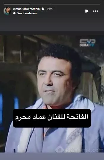 وفاء عامر