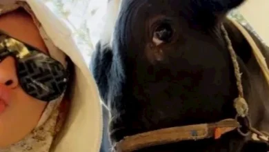 صورة وائل عبدالعزيز لـ ياسمين: “مشوفتش واحدة قدك يا قادرة”