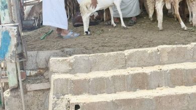 صورة «عكاظ» ترصد: أسواق النفع بلا موازين قبل 7 أيام من التطبيق  أخبار السعودية