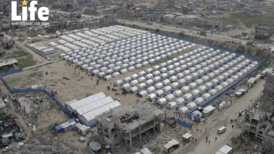 صورة لايف للإغاثة والتنمية 32 عاماً من إيواء النازحين ودعم اللاجئين