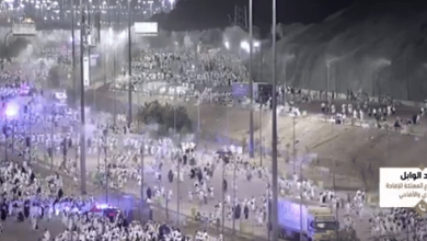 صورة مشرف مشروع الإفادة من الهدي والأضاحي: عدد الأضاحي يبلغ نحو 800 ألف رأس