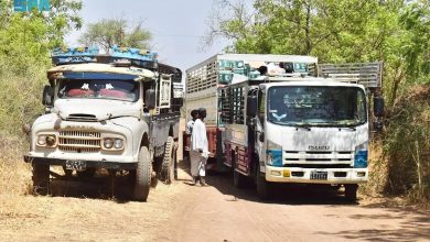 صورة “إغاثي الملك سلمان” يوزع مساعدات غذائية في السودان  واليمن