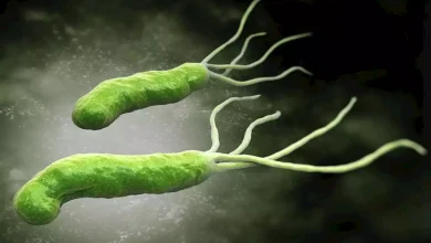 صورة مضاعفات خطيرة.. ماذا يحدث لجسمك إذا أهملت علاج جرثومة المعدة؟