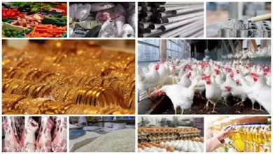 صورة خريطة الأسعار اليوم 14-10-2025: انخفاض أسعار الجبن الابيض والرومي