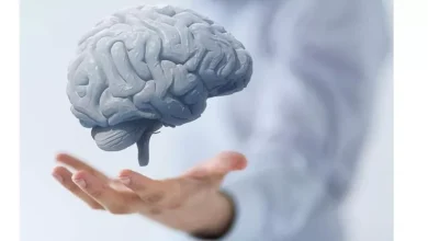 صورة 6 هوايات تعزز صحة الدماغ- تعرف عليها