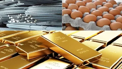 صورة ارتفاع الحديد والبيض وانخفاض الذهب.. خريطة الأسعار اليوم 16-7-2025