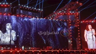 صورة الجمهور يطلب من أنغام “أكتبلك تعهد”.. وتعلق: مال الرجالة بالأغنية