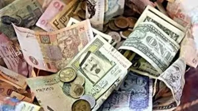 صورة انخفاض أسعار 5 عملات عربية مقابل الجنيه خلال تعاملات اليوم 29-7-2025