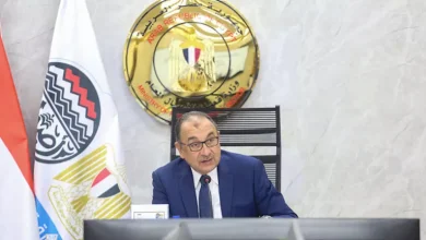صورة الكيميائي سعد هلال قائمًا بأعمال العضو المنتدب للشركة القابضة للصناعا