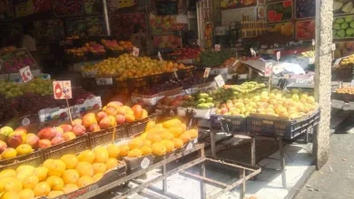 صورة لا تشتروا في هذه الحالة.. توصيات شعبة الخضروات والفاكهة لمواجهة الغلاء