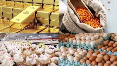 صورة خريطة الأسعار اليوم: انخفاض العدس وارتفاع الذهب