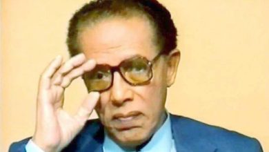 صورة هل ينجح مسلسل مصطفى محمود؟ بين تعقيد الفكرة وتحدي الجماهيرية  أخبار السعودية