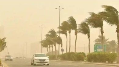 صورة «الأرصاد»: رياح نشطة وأتربة مثارة على منطقة نجران  أخبار السعودية