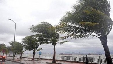 صورة «الأرصاد»: رياح شديدة السرعة على جدة  أخبار السعودية