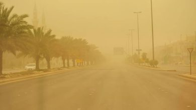 صورة «الأرصاد» تُنبه: رياح نشطة وأتربة مثارة على منطقة الباحة  أخبار السعودية