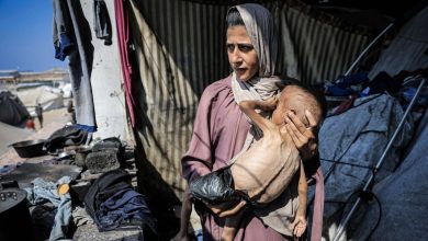 صورة 21 قتيلاً في غزة والمجاعة تتفاقم.. إصابة 7 إسرائيليين في حادثة دهس  أخبار السعودية