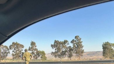 صورة إصابات حرجة وخطيرة دهسا قرب طبرية