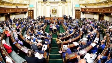 صورة بالقانون.. تعرف على الجهة المسئولة عن تمويل زيادة بدل جهود المهن الطبية