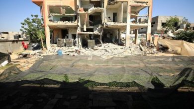 صورة “فاو”: 4.6 بالمئة فقط من أراضي قطاع غزة صالحة للزراعة